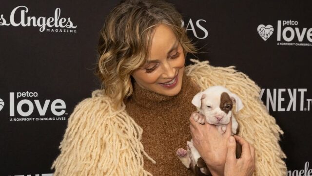 Η Σάρον Στόουν υιοθέτησε ένα αδέσποτο κουτάβι Pitbull