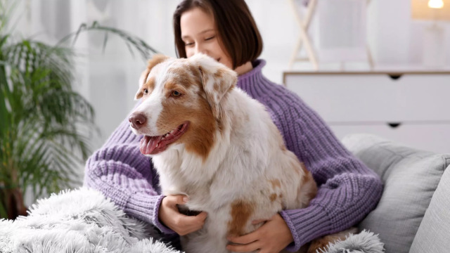 Χειμώνας και κατοικίδια: Συμβουλές φροντίδας για τις κρύες μέρες