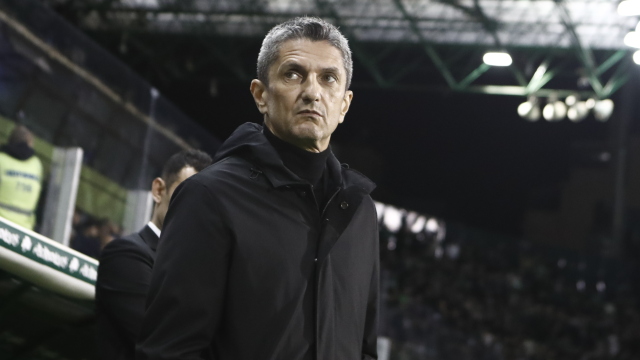 Φίλοι του ΠΑΟΚ έγραψαν τραγούδι για τον Λουτσέσκου με τον τίτλο «γάτα ρουμάνικια», βίντεο 