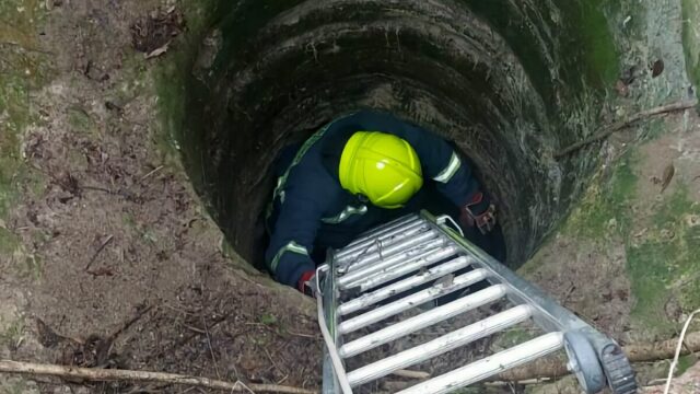 Πυροσβέστες έσωσαν σκύλο που έπεσε σε πηγάδι βάθους επτά μέτρων στη Λάρισα