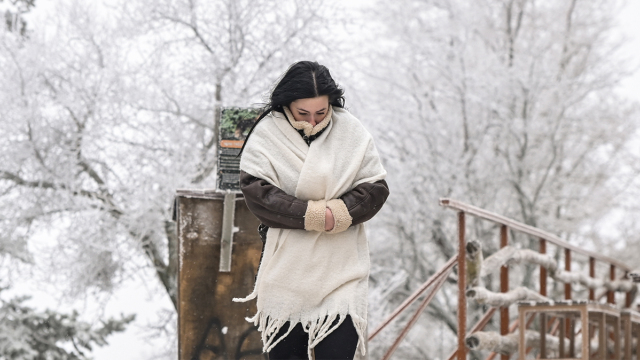 Κακοκαιρία και δριμύ ψύχος σε όλη τη χώρα - Τι είναι το φαινόμενο Aegean sea effect που φέρνει πυκνό χιόνι σε περιοχές κοντά στις ακτές και επικίνδυνες καταιγίδες 