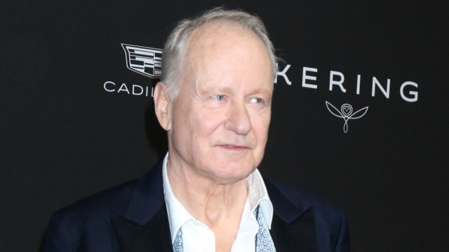 Στέλαν Σκάρσγκαρντ για το εγκεφαλικό που υπέστη: Με έκανε πιο χαζό και λιγότερο αστείο 