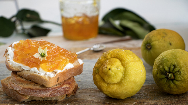 Περγαμόντο: Τι είναι, γιατί μυρίζει τόσο έντονα και πώς το χρησιμοποιούμε στην κουζίνα