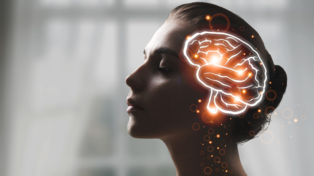 Αυτές είναι οι ηλικίες στη ζωή μας που ο εγκέφαλός μας αλλάζει