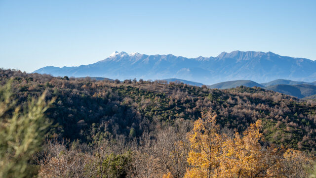Απολαμβάνοντας την ομορφιά του Πάρνωνα: Kάναμε μια διαδρομή από τη Βαμβακού στον Άγιο Πέτρο
