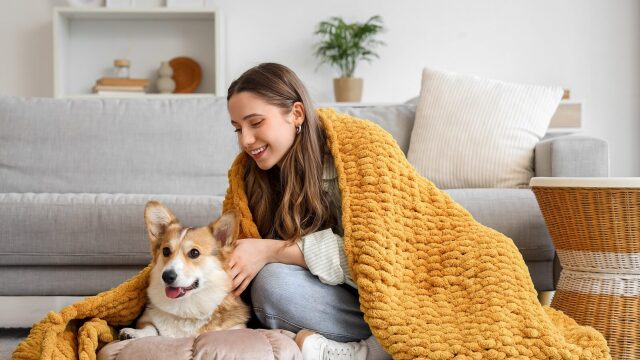 Πώς να χρησιμοποιείτε με ασφάλεια τα θερμαινόμενα μαξιλάρια και κρεβατάκια για σκύλους