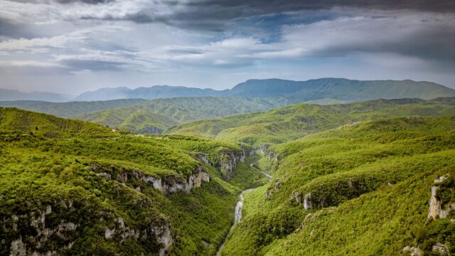 Οι Εθνικοί Δρυμοί της Ελλάδας: Μοναδικά οικοσυστήματα ζωής