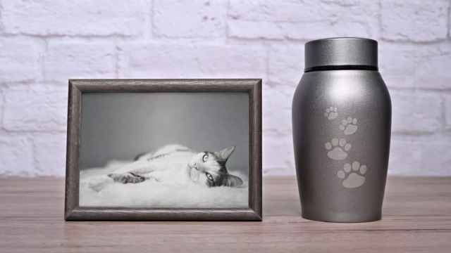 Πονάει ο θάνατος ενός κατοικιδίου όσο και η απώλεια ενός συγγενή; Τι δείχνει μια νέα έρευνα