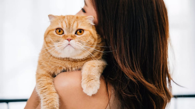 Τι μπορούμε να κάνουμε αν δεν αρέσουν οι αγκαλιές στη γάτα μας