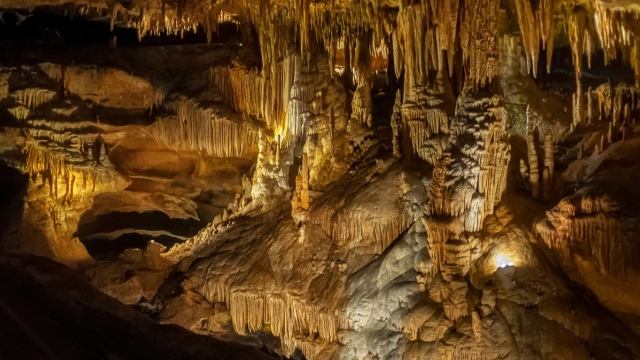 Μικρόβια που ζουν ανέγγιχτα για 49 εκατ. χρόνια σε σπήλαιο του Νέου Μεξικού ανοίγουν νέα σενάρια για εξωγήινη ζωή