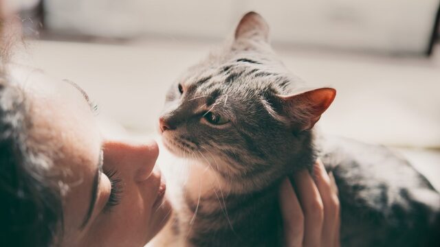 Πώς αντιλαμβάνονται οι γάτες τα ανθρώπινα συναισθήματα