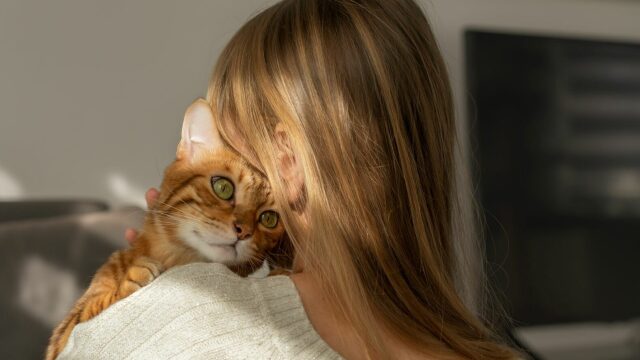 Αυτές είναι οι πιο παράξενες συμπεριφορές μιας γάτας- Τι σημαίνουν