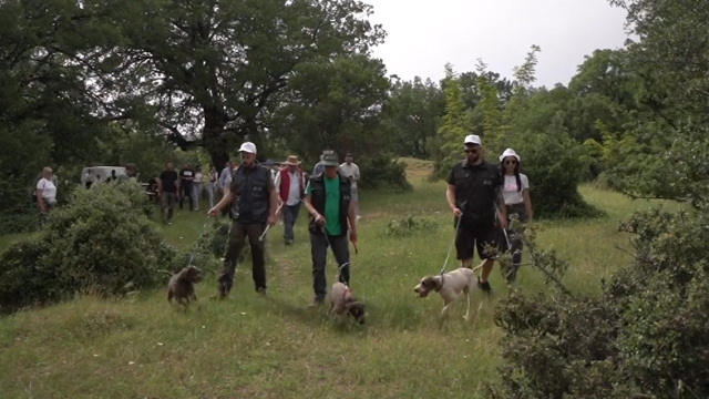 Δραστηριότητες φύσης και πολιτισμού του Μουσείου Φυσικής Ιστορίας Μετεώρων και Μουσείου Μανιταριών για την Αποκριά, δείτε βίντεο