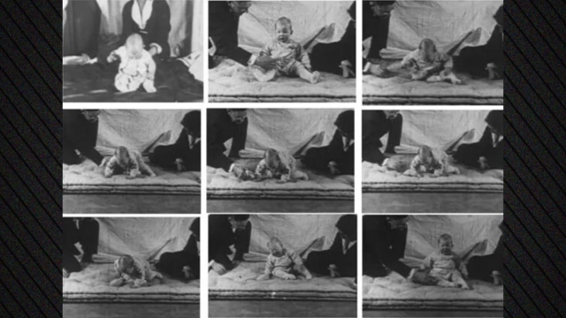 Ποιο ήταν το «Πείραμα του Μικρού Άλμπερτ» και γιατί θεωρείται ένα από τα πιο ανήθικα κεφάλαια στην ιστορία της ψυχολογίας