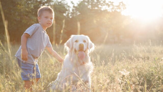 Σημαντικά tips για την αρμονική συμβίωση του σκύλου με παιδιά
