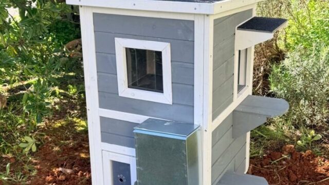 Σπιτάκια για τα αδέσποτα ετοίμασε ο Δήμος Παπάγου - Χολαργού