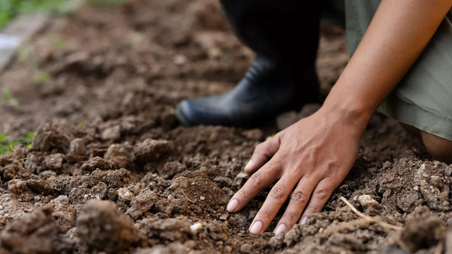 Ένας αόρατος κόσμος στα βάθη της Γης: Μικρόβια που περιμένουν εκατομμύρια χρόνια για να «ξυπνήσουν»
