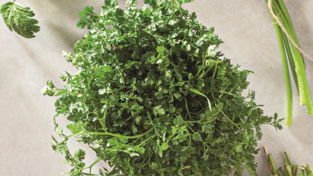 Μαζεύοντας άγρια χόρτα: Ένας πλήρης οδηγός για να τα αναγνωρίσετε