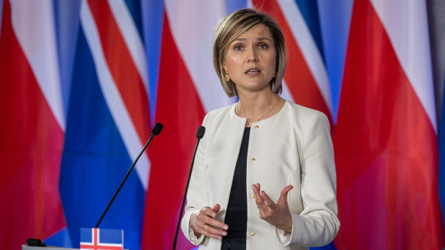 Η Ισλανδία διεξάγει δημοψήφισμα για την ένταξη της χώρας στην ΕΕ τους επόμενους μήνες, λέει η πρωθυπουργός