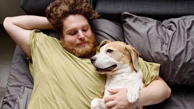 Παχυσαρκία σε ιδιοκτήτη και κατοικίδιο – Έρευνα φωτίζει ένα νέο πρόβλημα «Ενιαίας Υγείας»