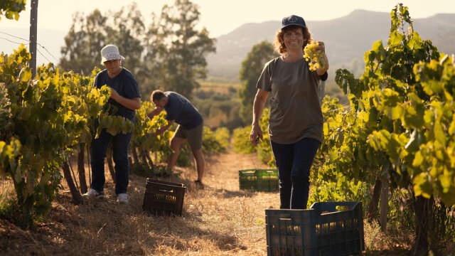 Από τη Μαλβαζία μέχρι τα Λαζαρίτικα: 12 νέα στοιχεία στο Ευρετήριο Άυλης Πολιτιστικής Κληρονομιάς