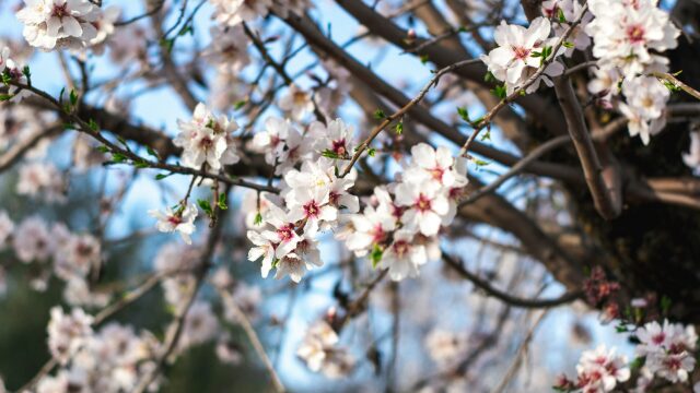 5 στιγμές χαράς που έρχονται με τις πρώτες ημέρες της Άνοιξης
