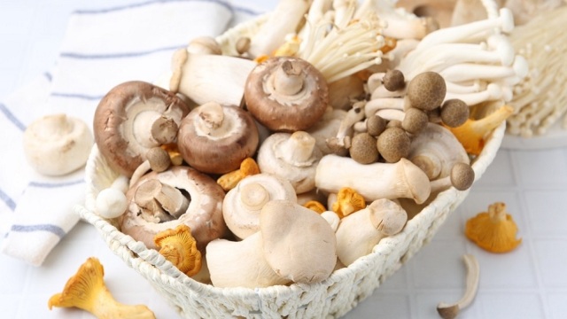 Μανιτάρια στην Ελλάδα: Πλήρης οδηγός για άγρια, καλλιεργούμενα και δηλητηριώδη είδη