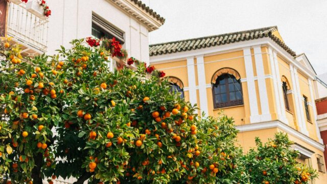 5 στιγμές χαράς που έρχονται με τις πρώτες ημέρες της Άνοιξης
