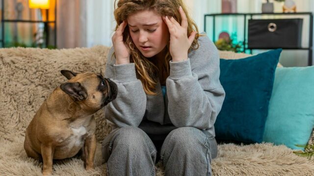 Μπορούν οι σκύλοι να καταλάβουν όταν πονάμε; Πώς αντιδρούν