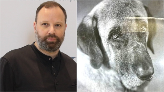 Η συγκλονιστική ιστορία του Βύρωνα: Ο σκύλος που έφτασε κοντά στον θάνατο, αλλά κέρδισε μια «δεύτερη ζωή» μετά την υιοθεσία του από τον Λάνθιμο