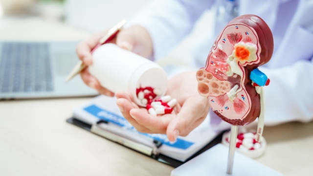 Ένας στους οκτώ κινδυνεύει από νεφρική νόσο: Τα πρώτα σιωπηλά σημάδια, πότε πρέπει να ξεκινά ο έλεγχος
