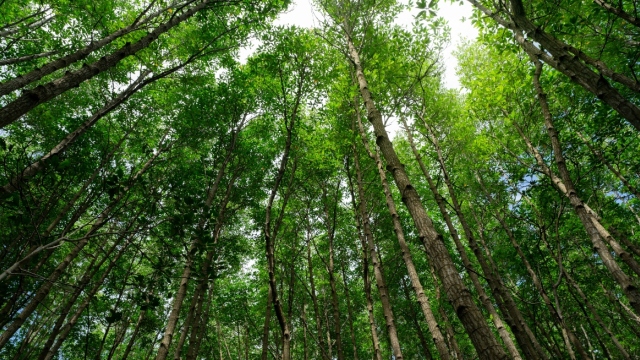  Ο Φεβρουάριος ανάμεσα στους πιο θερμούς παγκοσμίως στα χρονικά, οι εντυπωσιακές αντιθέσεις