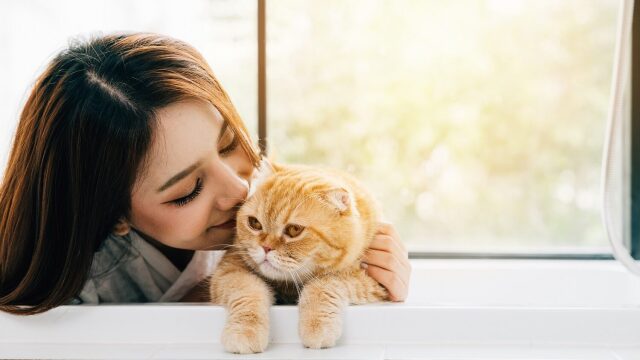 Μικρά μυστικά ώστε να γίνετε το αγαπημένο άτομο της γάτας σας