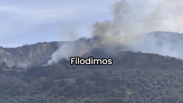 Χωρίς ενεργό μέτωπο η φωτιά στην Αρραβωνίτσα Αχαΐας
