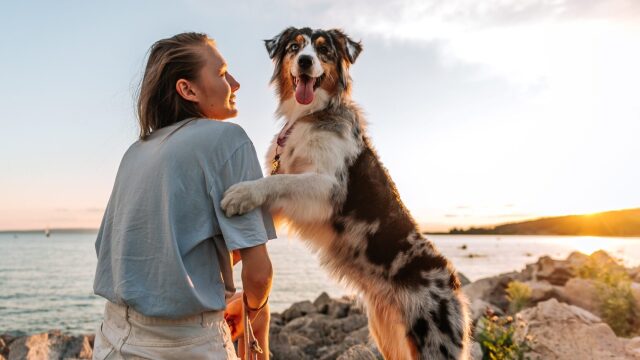 Πώς η αγάπη για τον σκύλο μας μπορεί να επηρεάσει θετικά την υγεία του