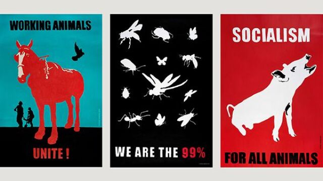 Εθνικό Μουσείο Σύγχρονης Τέχνης: Πώς η βία κατά των ζώων συνδέεται με τη βία κατά των ανθρώπων 