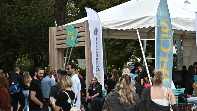 21η Ημέρα Υιοθεσίας Pet City - 28/3 στον Δήμο Αμαρουσίου: Ένα παντοτινό σπίτι για κάθε αδεσποτάκι