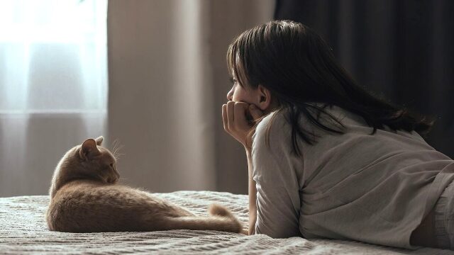 Γιατί μας πλησιάζουν οι γάτες όταν κλαίμε