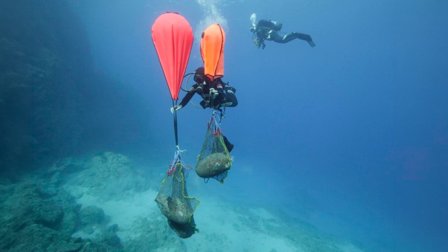 Εντυπωσιακά αρχαιολογικά ευρήματα από τον 7ο αιώνα π.Χ. στον βυθό της Καρπάθου, δείτε φωτογραφίες