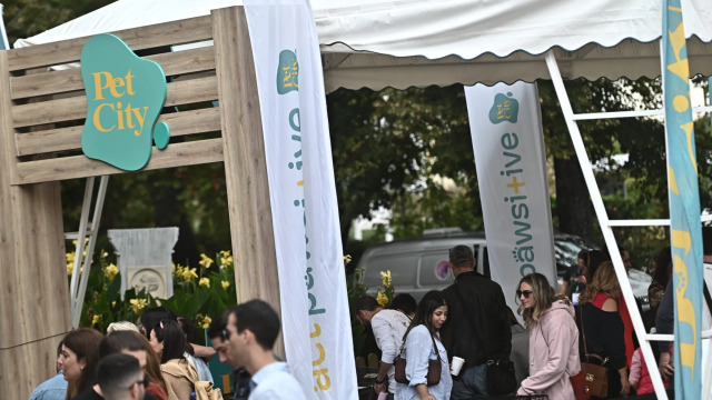 Woof Festival | Topetmou.gr: Γιορτάζουμε την Παγκόσμια Ημέρα Αδέσποτων με την 22η Ημέρα Υιοθεσίας Pet City 