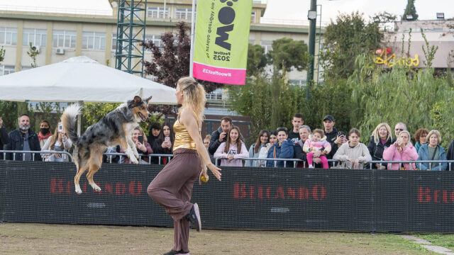Τι θα δούμε φέτος στον κεντρικό στίβο του Woof Festival | Topetmou.gr