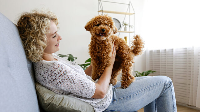 Γιατί ένας σκύλος τινάζεται μετά το χάδι; Οι λόγοι που μπορεί να σας εκπλήξουν
