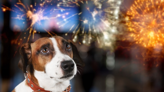 Πάσχα χωρίς κροτίδες και βεγγαλικά από τον Δήμο Φιλοθέης – Ψυχικού
