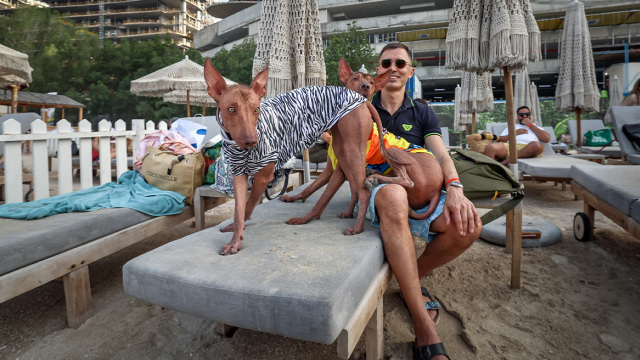 Φεστιβάλ σκύλων στο Ντουμπάι σαν να μην συμβαίνει τίποτα