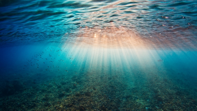 Copernicus: Οι ωκεανοί κοντά σε επίπεδα ρεκόρ υψηλής θερμοκρασίας, δεύτερος πιο θερμός ο φετινός Μάρτιος στην Ευρώπη