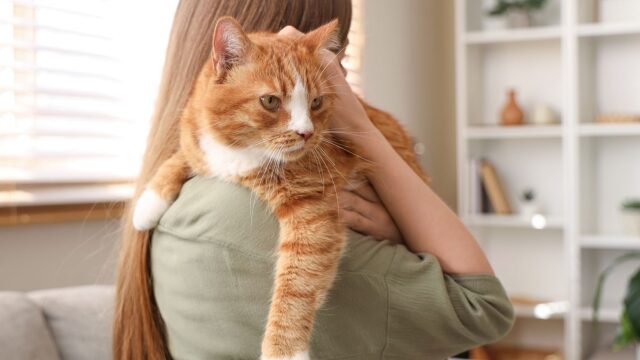 Τα πράγματα που έχουμε στο σπίτι μας και δεν φανταζόμαστε ότι είναι πολύ επικίνδυνα για τη γάτα μας