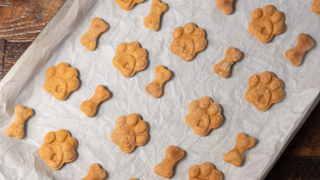 Τι θα πάθω αν φάω τις λιχουδιές του σκύλου μου