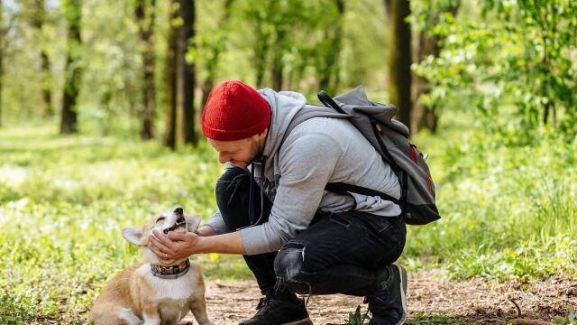 Τα 4 πράγματα που μπορούμε να προσφέρουμε στον σκύλο μας αντί για λιχουδιές