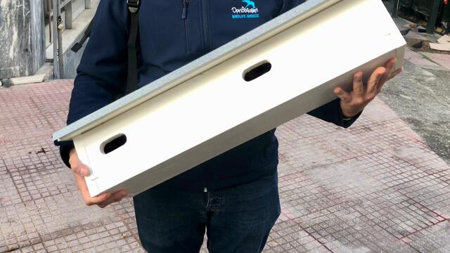 Βάζουν φωλιές για τα χελιδόνια και τις σταχτάρες σε διάφορα κτίρια της Αθήνας