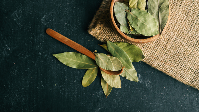 Δάφνη κάτω από το χαλί: Το απλό μυστικό για σπίτι που μοσχοβολάει φρεσκάδα